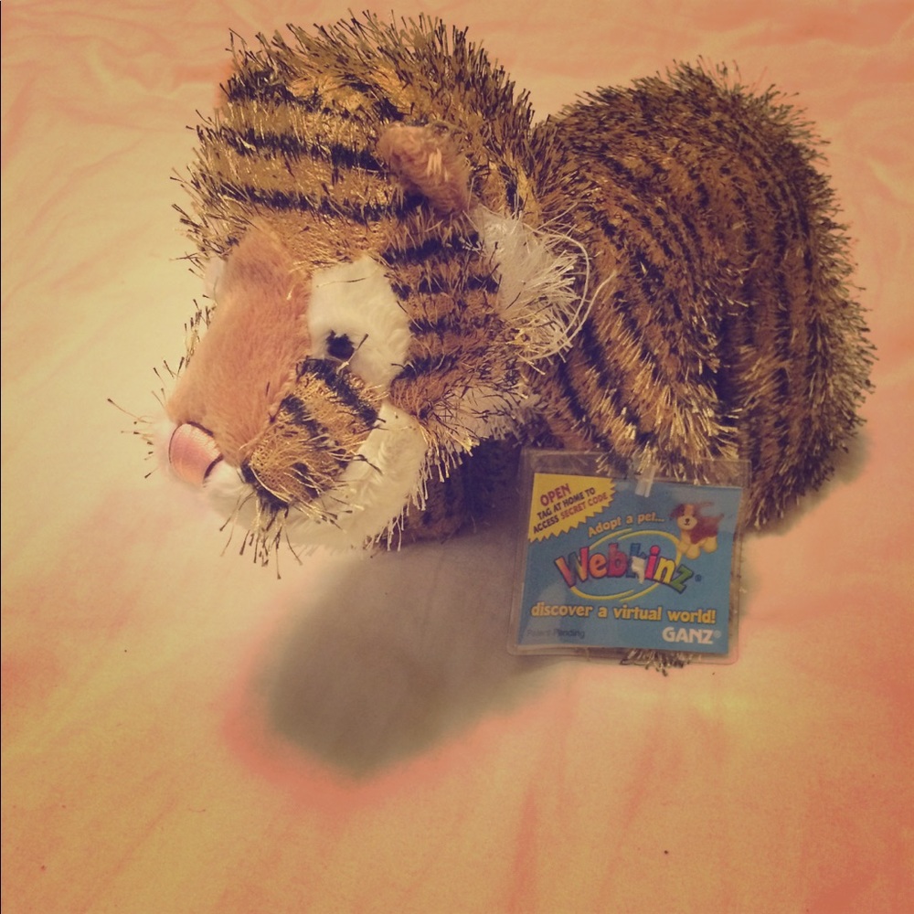 Toy
